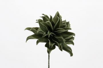 6 Fleurs Villa Kaki H70cm