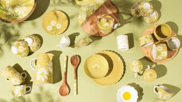 6 Assiettes Plates Daisy Grès Artisanal