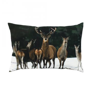 Coussins Troupeau Cerfs x2 (40x60)