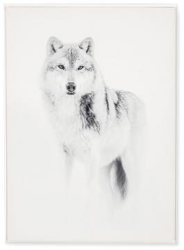 Tableau Cadre Loup (2 tailles)