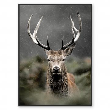 Toile Cadre Cerf dans les Buissons 84*124