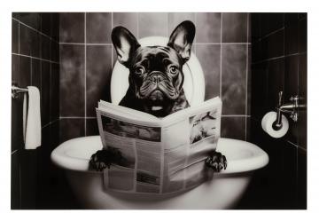 Cadre Verre Bulldog 120*80