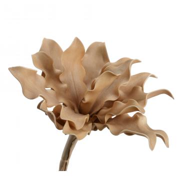 6 Fleurs Cumbia Doré H54cm