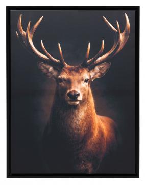 Toile Cadre "Cerf dans la Nuit" 60*80