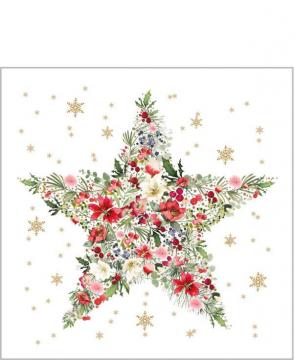 20 x Serviettes Papier Etoile de Noël 25*25