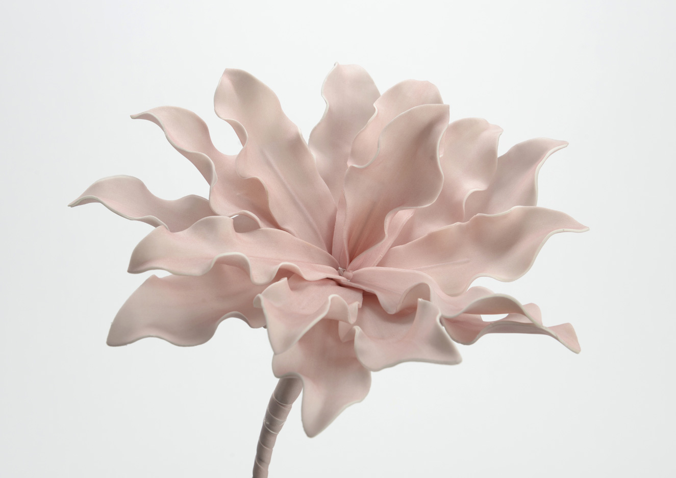 6 Fleurs Cumbia Rose Poudre 50cm Decoration Florale Style Campagne 6 Fleurs Cumbia Rose Poudre 50cm Decoration Florale Style Campagne